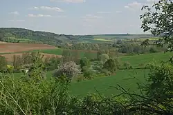 Zwischen Stetten und Eußenheim