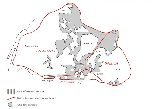 Laurentia, Baltica und Avalonia im Kontinent Laurussia