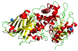 Exotoxin A (Pseudomonas aeruginosa)
