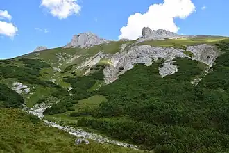 Südwestseite des Fölzkogels vom Karlgraben aus.