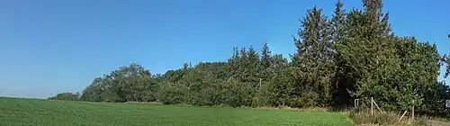 Südostecke des FFH-Teilgebietes „Lundtop“