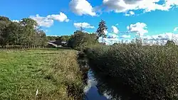 Linnau bei Lindewitt