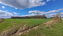 Ostseite des Kiuser Geheges