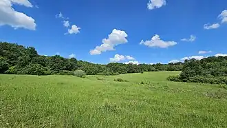 Blick in die Steppe Mai 2024