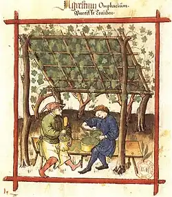 Pergola aus Holzstangen. Aus dem Handbuch der Familie Corutti in Verona um 1375 (Österr. Nationalbibl. Wien)