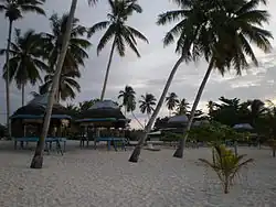 Beach fale Falealupo, Savai'i