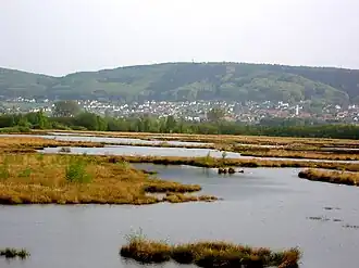 Nettelstedter Berg von Norden, vom Großen Torfmoor aus. Am Fuße des Berges liegt Nettelstedt.