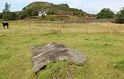 Der Hügel von Dunadd - davor der liegende Menhir