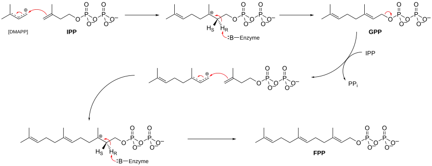 Synthese von Farneyslpyrophosphat