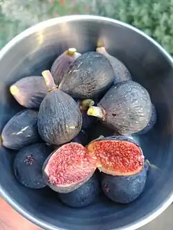 Herbstfeigen der Sorte Negronne.