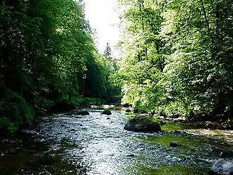 Die Feldaist, ein Fluss im Mühlviertel