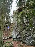 Felsensteig zwischen dem Hirschbachfall und den Zweribachwasserfällen