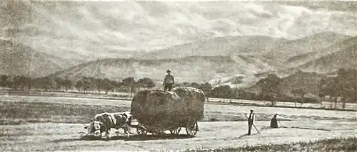 Bauern bei der Heuernte