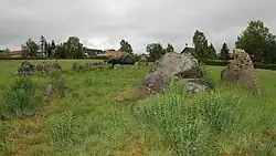 Das Hünenbett Grisemosehøj