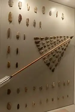 Pfeilspitzen aus verschiedenen Silexarten