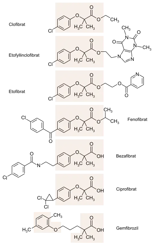 Strukturformeln verschiedener Fibrate