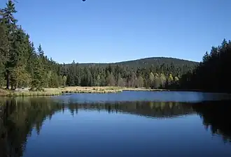 Der Fichtelsee (Nordteil)