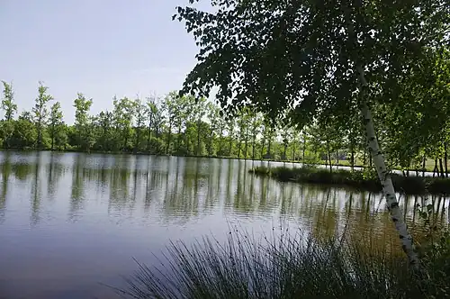 Weiher von Firbeix