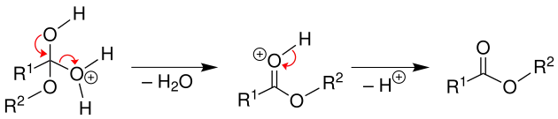 Mechanismus 3 Veresterung