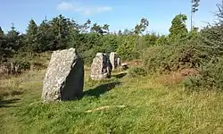 Steinreihe von Shantemon