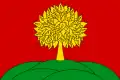 Flagge der Oblast Lipezk