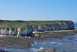 A line of white cliffs topped with green turf protruding into the sea.