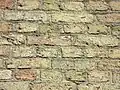 Das Mauerwerk aus den Steinen der Duburg.