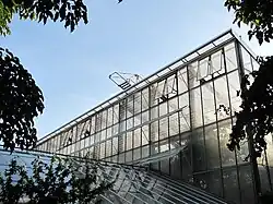 Großes Tropenhaus (1954/55)