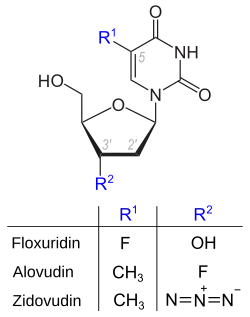 Strukturkomponente der Nukleosid-Phospholipide Fosfluridintidoxil, Fosalvudintidoxil und Fozivudintidoxil