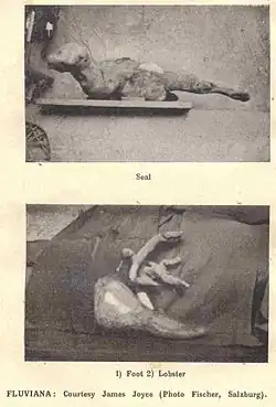 Doppelbild 2: „Fluviana“