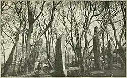 Megalithische Erinnerungssteine aus dem Buch Folk-tales of the Khasis (1920)