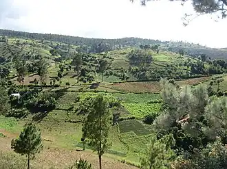 Landschaft bei Fonds-Verrettes (2014)