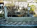Ehemaliger Brunnen mit Viehtränke