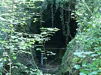 Eingang zur Höhle