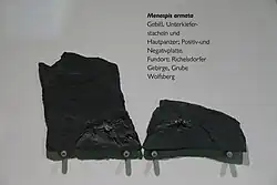 Foto zweier fast spiegelbildlicher schwarzer Gesteinsplatten, die linke ist deutlich höher als die Rechte. Im unteren Bereich sind jeweils fossile Abdrück zu sehen.