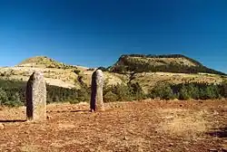 Menhire auf dem Cham des Bondons