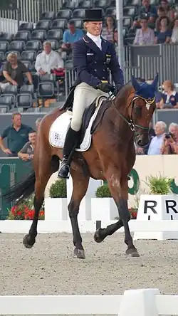 Frank Ostholt auf dem Deutschen Sportpferd Little Paint