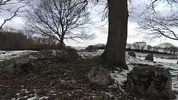 Frellesvig Langdysse