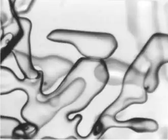 Frischer, trockener Schnee mit neu gebildeten Bindungen, der eine Korngrenze zeigt (oben Mitte).