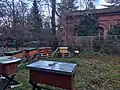 Neben der Kapelle wurden Bienenstöcke aufgestellt.