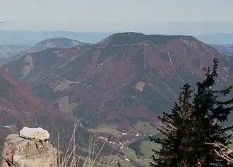 Der Friesling von Süden