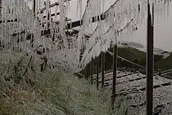 Frostschutzberegnung 2016 in einer Südtiroler Pergelerziehung.