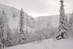 Fulufjället im Winter