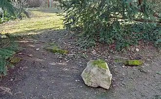 Fundamente im Maxingpark