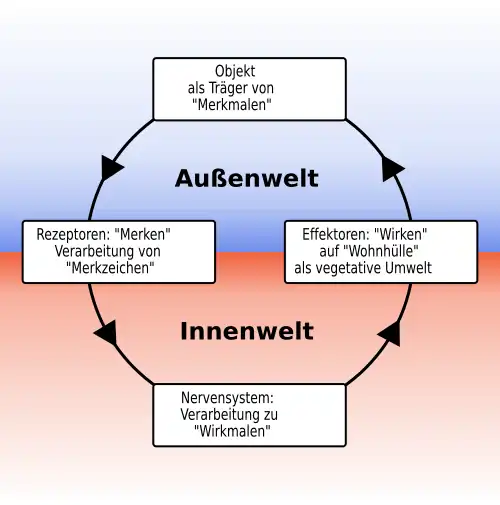 Funktionskreis nach Jakob von Uexküll als Regelkreis auf der vegetativen Stufe