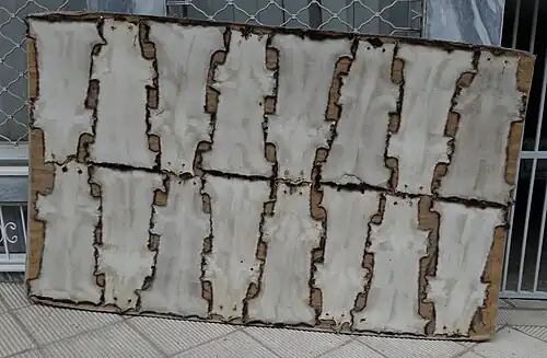 Vorgezweckte Nerzfelle (Griechenland, 2014)