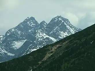 Alm Hala Wołoszyńska am Hang des Wołoszyn