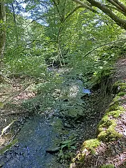 Steilufer der Großen Dhünn