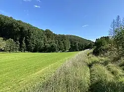 Weg von Niederdhünn durch die Talaue zur Odenholler Mühle