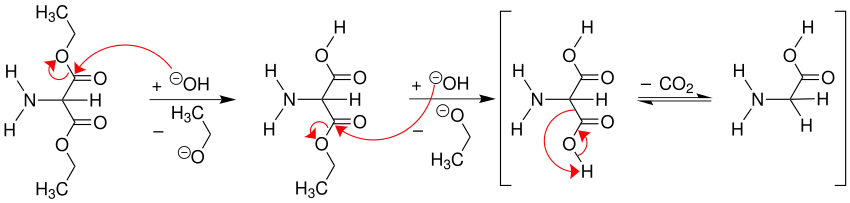 Verseifung zu α-Aminomalonsäure und Glycin